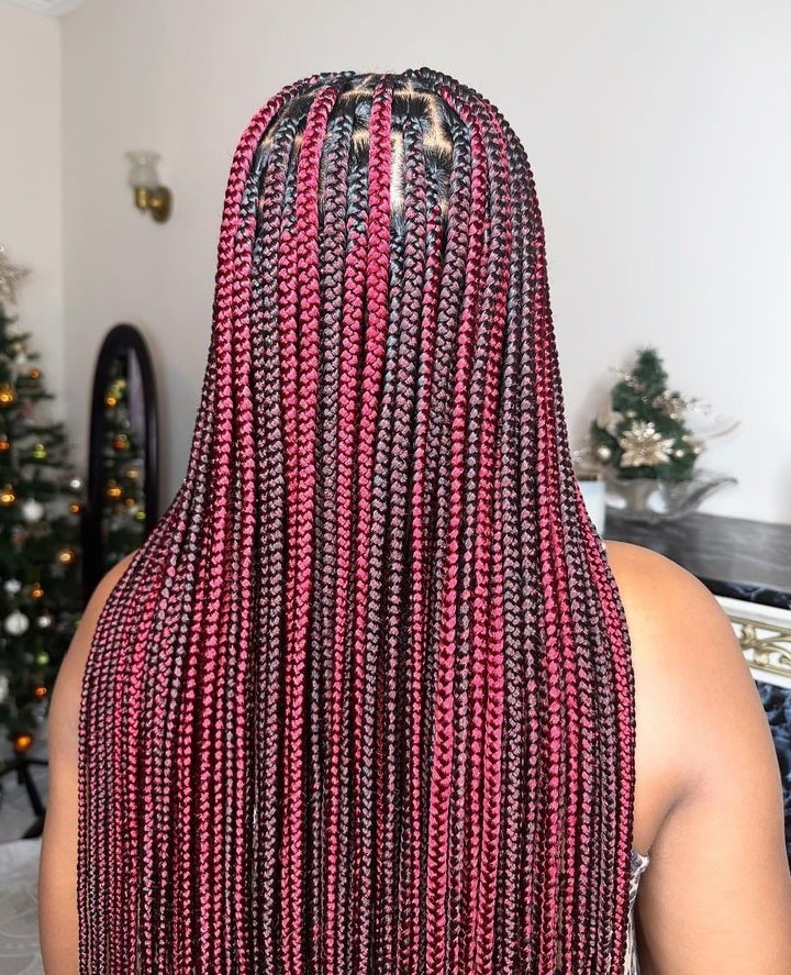 Box braids bicolores